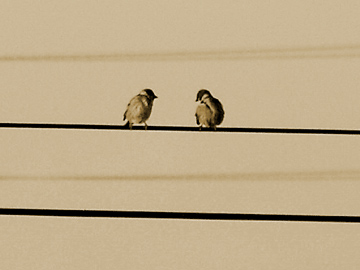 仲良しなのかなぁ。