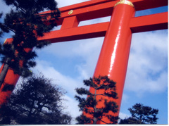 息子が撮りました♪