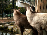 いやだもんね～