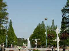公園