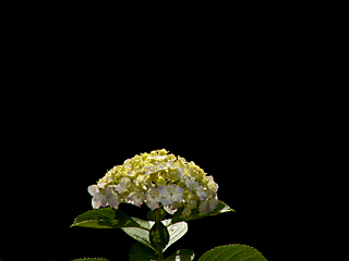 背景黒すぎ？(^_^;)