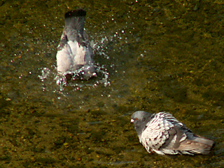 とにかく暑い・・・
